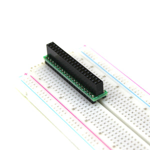 40-Pin Dual Row to DIP Converter Kit