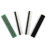 40-Pin Dual Row to DIP Converter Kit